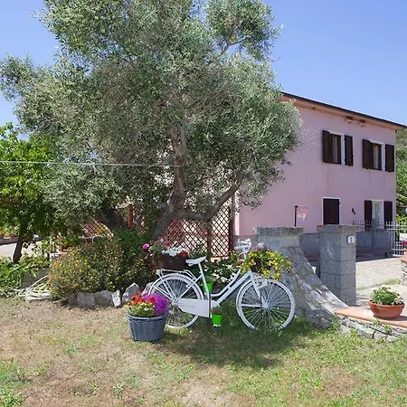 Aiali Apartment