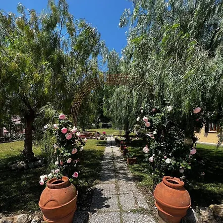 Apartman Aiali *